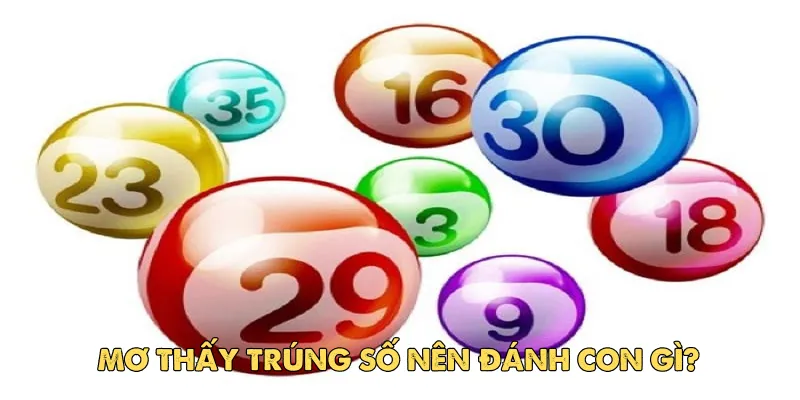 Mơ thấy trúng số – Điềm báo may mắn hay lời cảnh tỉnh? 3 Ý nghĩa tâm linh và điềm báo từ giấc mơ trúng số